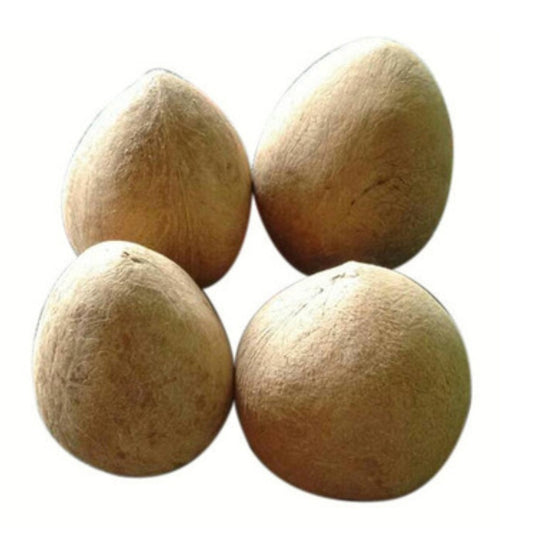 DRY COCONUT